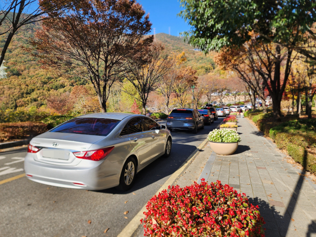 부산 북구 화명동 화명수목원이 행락철을 맞아 주차난으로 몸살을 앓는다. 화명수목원으로 들어서려는 차량이 줄지어 있는 모습. 범시민금정산보존회 제공