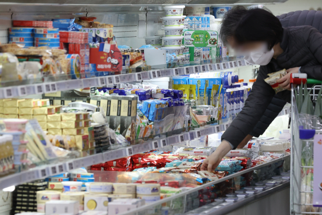 우유의 원료가 되는 원유(原乳) 생산비가 지난해 많이 오르면서 올해 우유 소비자가격이 크게 상승할 것으로 전망된다. 사진은 한 대형마트의 유제품 코너 모습. 연합뉴스