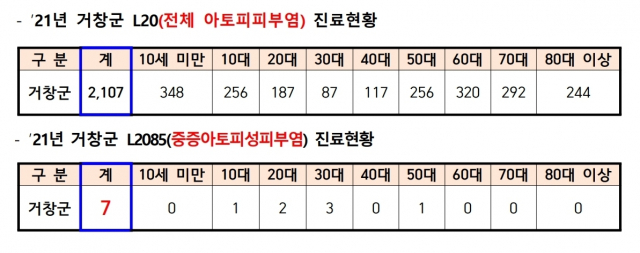 지난해 아토피 진료현황[국민건강보험공단 통계관리부-2968(2022.11.8.)]. 거창군 제공