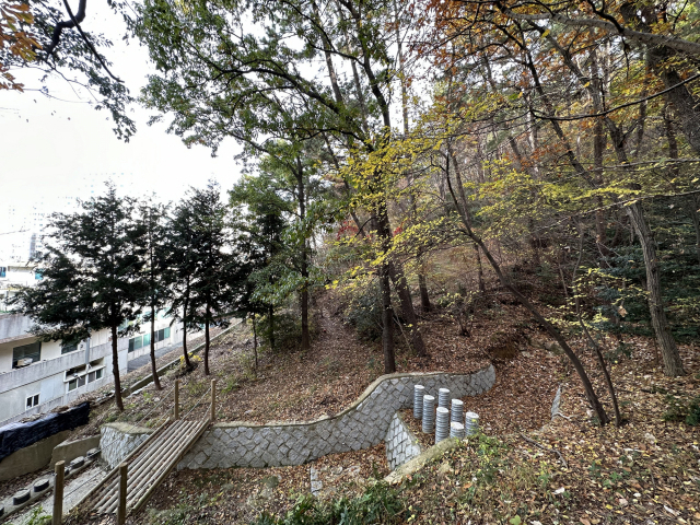 부산 해운대구 주민이었던 고 김유동 어르신의 유족이 김 어르신의 뜻에 따라 해운대구 반여동 산 일대 1만 3000㎡ 규모의 토지를 해운대구청에 기부했다. 부지 사진. 해운대구청 제공