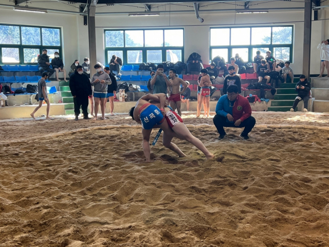 제41회 부산시협회장기 씨름대회와 제36회 부산시교육감배 씨름대회 겸 2022학년도 학교스포츠클럽 씨름대회 경기 모습. 부산시씨름협회 제공