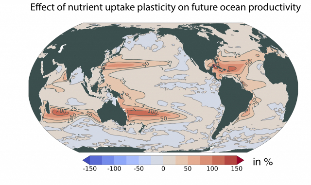 식물 플랑크톤의 영양 흡수 조절 능력이 미래 해양 순생산량에 미치는 영향. 부산대 제공