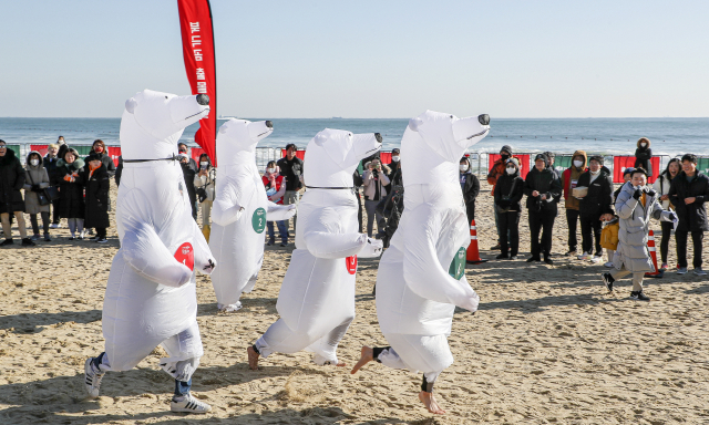 24일 부산 해운대해수욕장에서 열린 부산일보사 주최 ‘제35회 해운대북극곰축제’에서 참가자들이 북극곰 에어슈트를 입고 달리는 북금곰 러닝 레이스를 즐기고 있다.