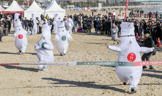 24일 부산 해운대해수욕장에서 열린 부산일보사 주최 ‘제35회 해운대북극곰축제’에서 참가자들이 북극곰 에어슈트를 입고 달리는 북금곰 러닝 레이스를 즐기고 있다.