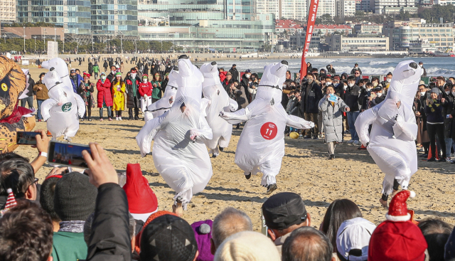 24일 부산 해운대해수욕장에서 열린 부산일보사 주최 ‘제35회 해운대북극곰축제’에서 참가자들이 북극곰 에어슈트를 입고 달리는 북금곰 러닝 레이스를 즐기고 있다.
