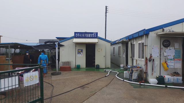 진주시유기동물보호소 모습. 김현우 기자