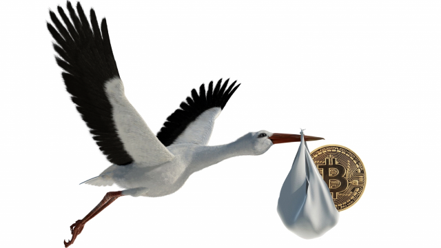 비트코인을 물고 날아가고 있는 학. 비트코인닷컴 제공