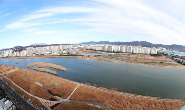 울산 태화강의 자연 회복을 상징하는 회귀 연어가 줄고 있는 것으로 조사됐다. 울산 태화강 전경. 울산시 제공