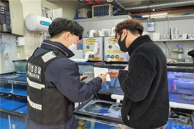 수산물 원산지 표시 및 수입수산물 유통이력 특별점검 장면. 해수부 제공