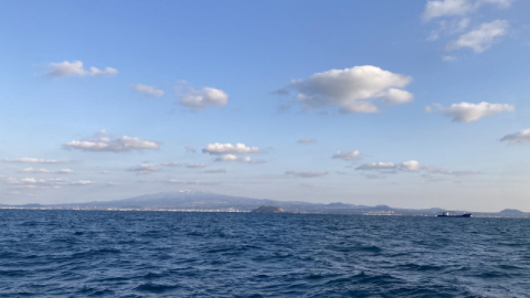 [제주 심해 갑오징어 탐사] 토실한 갑오징어에 기막힌 한라산 풍경은 덤