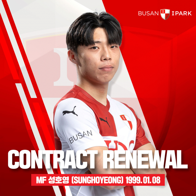 부산아이파크와 재계약한 미드필더 성호영. 부산아이파크 제공