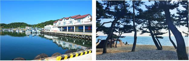 2월 이달의 어촌 안심 여행지로 선정된 경북 울진 구산마을(왼쪽)과 충남 태안 용신마을. 해수부 제공