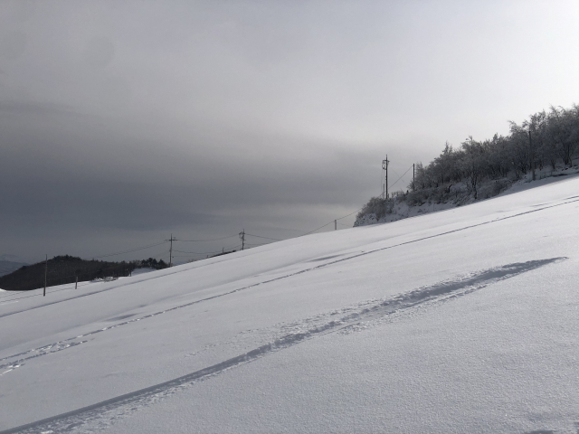 안반데기 눈밭을 시원하게 가로지른 눈썰매 자국.