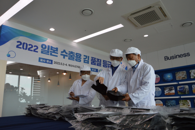 수산가공업체가 밀집한 부산 서구 부산수산가공선진화단지에서 일본 수출용 김의 품질을 검사하는 모습. 부산일보DB