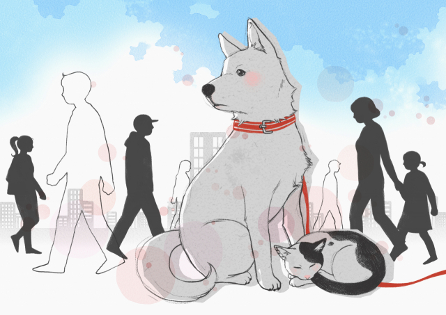 위 사진은 기사와 직접적인 연관 없음. 이미지투데이 제공