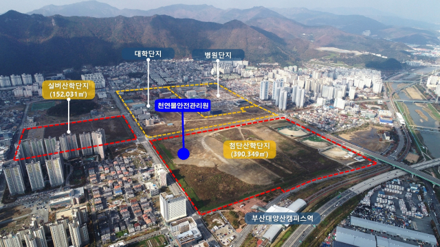부산대가 정부의 캠퍼스 혁신파크 공모사업에 세 번째 도전에 나섰지만, 실패했다. 사진은 양산캠퍼스 전경. 양산시 제공