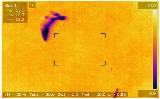 이어도 해양과학기지에 설치된 열화상 카메라 영상에 찍힌 철새. 국립해양조사원 제공