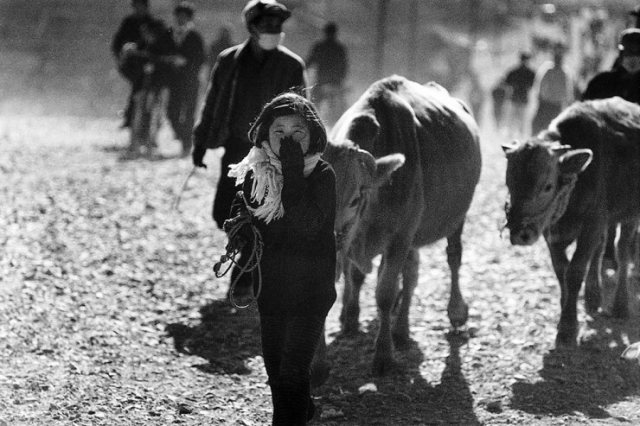 정정회 사진가의 ‘경북 청도, 1971’. 이 사진의 주인공이 40여 년 만에 작가의 전시장을 찾아왔다고 한다. 정정회 제공