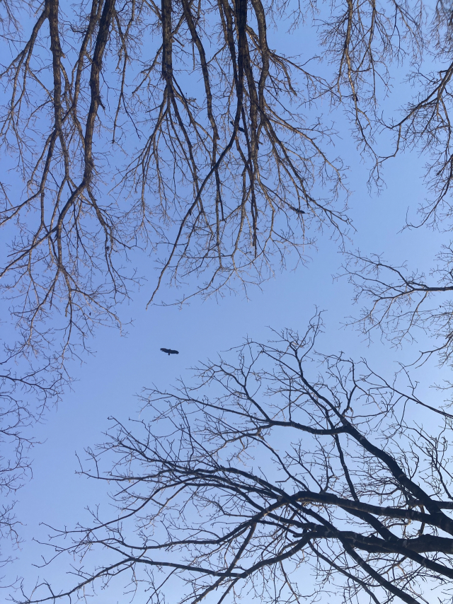 백두대간에서 바라본 깊은 하늘.