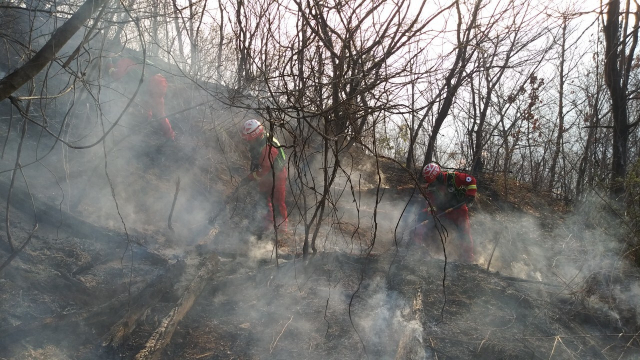 산림당국은 산불 확산 조기 방지를 위해 오후 1시 50분 기준, ‘산불 1단계’를 발령하고 대응에 들어갔다. 산림청 제공