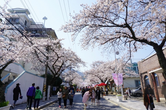 통영의 대표 봄꽃 축제인 ‘봉숫골 꽃나들이’가 4년 만에 찾아온다. 사진은 2019년 축제 현장. 부산일보DB