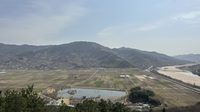 ‘스타웨이하동 스카이워크’ 전망대에서 바라본 악양면 평사리 들판. 80여만 평의 광활한 대지와 섬진강 물줄기가 오감을 압도한다.