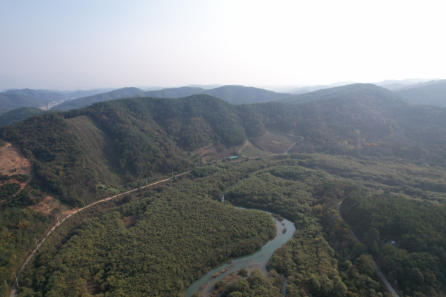 경남 진주시 진양호에 버들 군락지가 대규모로 생성돼 있다. 김현우 기자