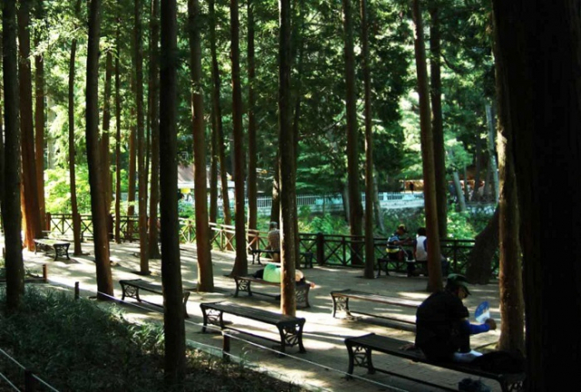 부산 부산진구 초읍동의 ‘백양산 나들숲길’. 경사가 완만하고 편의시설이 정비가 잘 돼 있어 등산 초보도 가능한 코스로, 산을 좋아하는 이들에게 더없이 좋은 길이라는 설명이다. 산림청 제공