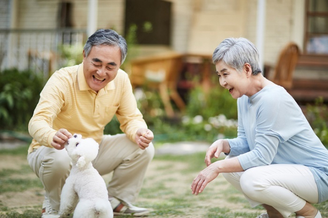 노인들을 위해 만든 고령친화식품이 일반식보다 고령자의 영양상태를 개선하는데 효과가 있는 것으로 나타났다. 이미지투데이