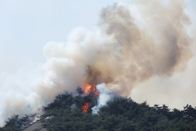 2일 오후 산불이 발생한 서울 종로구 인왕산에서 불길이 치솟고 있다. 연합뉴스