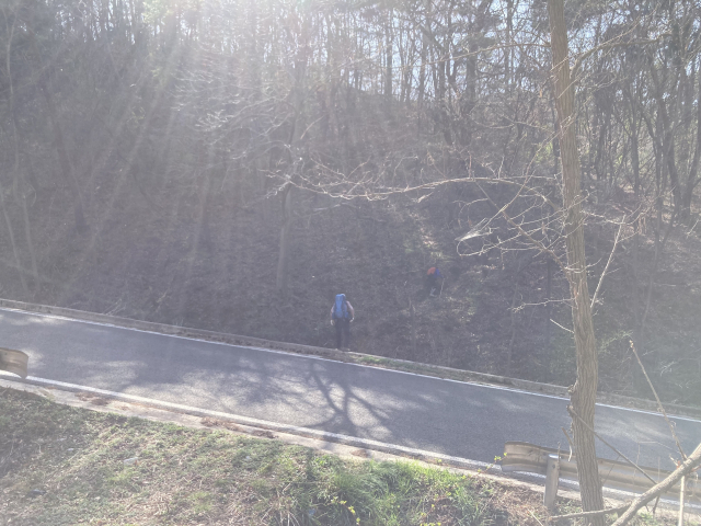 박골재를 지난다. 이제부터 대암산까지는 온전히 산길이다.