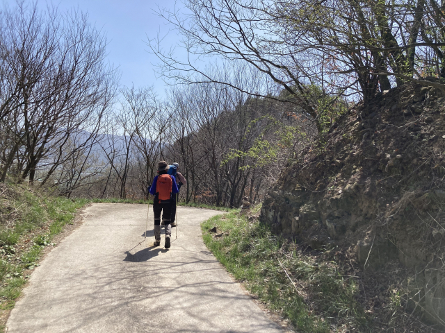 골안재 임도다. 오른쪽 작은 돌탑에서 다시 산행이 시작된다.