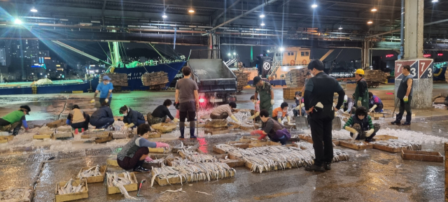 십여 년을 끌어온 부산공동어시장 현대화사업이 물가상승분을 반영한 총 사업비 확정이 늦어지면서 올해 상반기에도 착공이 어렵게 됐다. 부산일보DB