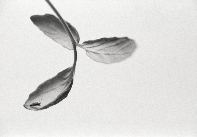 이다슬 '종달새 날아오르면 나를 꼬옥 안아주세요 23-1-D-3'. 이다슬 제공