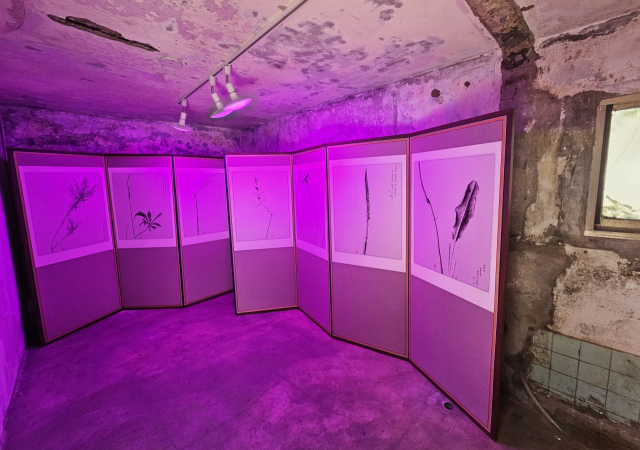 이다슬 '초충도'. 하찮은 잡초와 벌레 이미지가 서예 대가의 글과 만나 병풍이 됐다. 오금아 기자