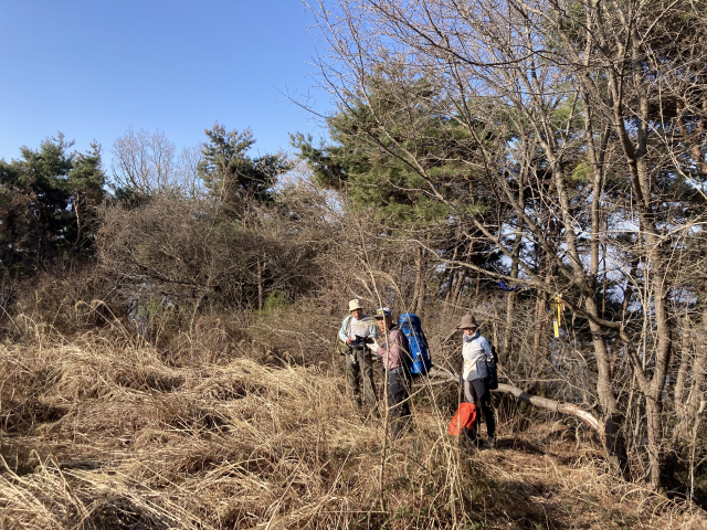 무월봉에 한달음에 올랐다. 헬기장으로 쓰였던 무월봉은 잡초가 무성했다. 대암산보다 높았지만 조망은 시원치 않다.