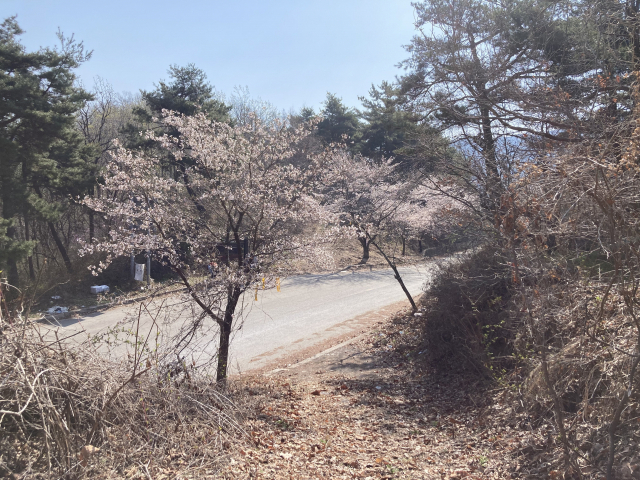 큰고개재에 도착했다. 고개 아래로 터널 공사가 한창이다.