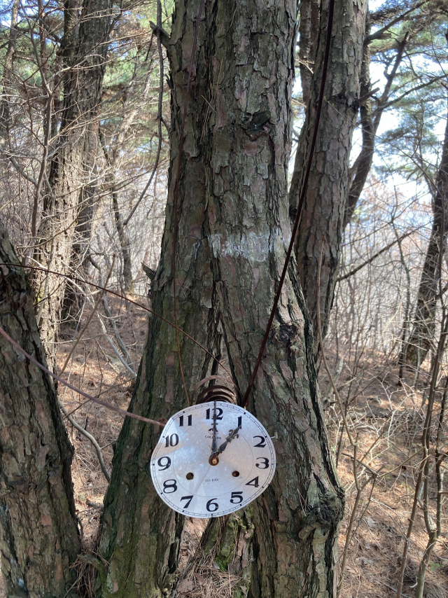 미타산 정상 못 미쳐 누군가 설치한 오래된 시계.