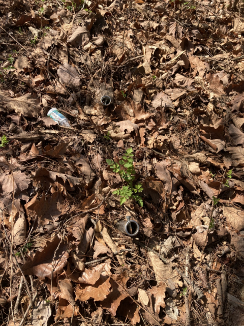 낙엽 속에 복병처럼 웅크린 파이프 기둥.