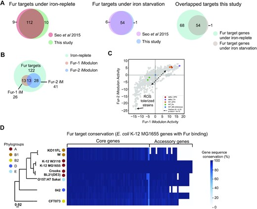 그림. 대장균 K-12 MG1655 균주를 기반으로 확인한 Fur regulon 특성 분석. (A) 이전 보고된 데이터와의 비교. (B) iModulon에서 발견한 Fur-1,2 데이터셋. (C) PRECISE 1K를 기반으로 한 Fur iModulon의 activity 상관 관계. (D) 추가적인 8종의 대장균 균주에서 나타나는 MG1655 Fur 대상 유전자의 유사성 비교. UNIST 제공