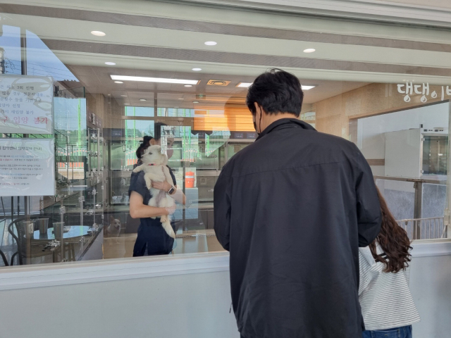 유기동물 입양을 위해 센터를 찾은 한 가족. 유리창 너머의 개를 보고 있다.