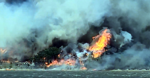 11일 오전 강원도 강릉시 난곡동의 한 야산에서 난 불이 확산되는 가운데 해변가 리조트 인근에 불길이 치솟고 있다. 연합뉴스