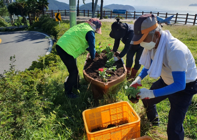 통영시가 마을 이장 공모제를 추진하자 현직들이 크게 반발하고 있다. 통영의 한 마을 이장단이 주민들과 함께 관내 도로변에 꽃을 심고 있다. 통영시 제공