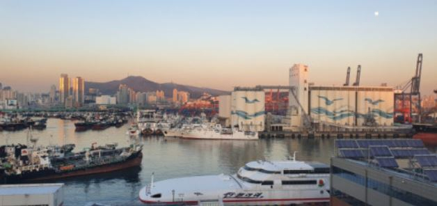 부산항국제여객터미널에서 옥상에서 바라본 부산항 북항 2단계 재개발사업 예정지인 자성대부두, 양곡부두, 5물양장 등 전경. 부산일보DB