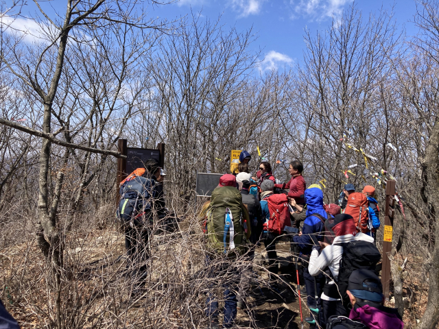 드디오 도착한 고루포기산 정상. 인근에 풍력발전 단지가 있어 오르는 길에 전봇대도 볼 수 있다.