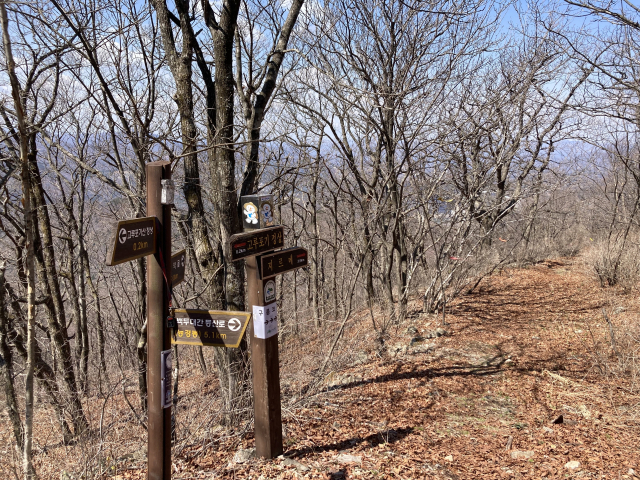 능경봉을 향한다. 여러 갈래 길이 있다.