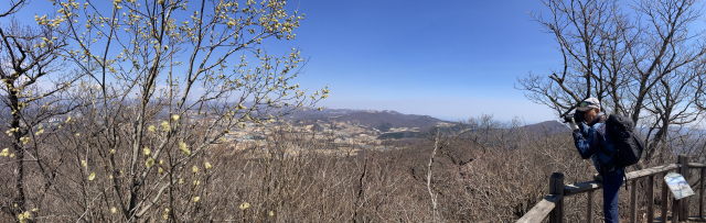 고루포기산 전망대에서 주변 풍경을 담고 있는 종주대. 호랑버들이 한껏 꽃을 피웠다.