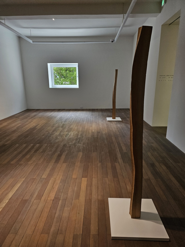 부산 해운대구 데이트갤러리에서 열리는 최인수 조각전. 버려진 느티나무로 만든 ‘장소가 되다’ 연작이 전시되어 있다. 오금아 기자