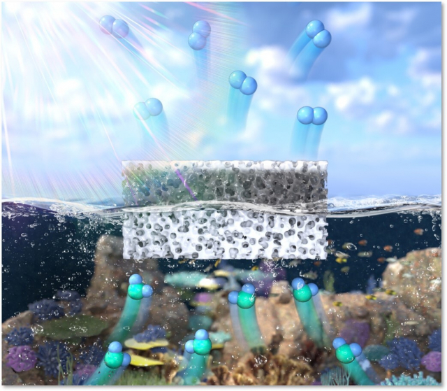 그림. 연구진이 개발한 부유식 광촉매 플랫폼의 구조. 개발된 나노복합체는 광촉매층과 지지층으로 구성된다. 광촉매층은 공기 중에 노출되어 있어 효과적으로 빛을 전달받을 수 있다. 구멍이 숭숭 뚫려 있는 다공성의 고무-하이드로젤 복합체를 사용해 높은 표면장력을 달성하여 물에 떠 있을 수 있고, 촉매를 복합체 내에 안정적으로 고정할 수 있으며, 하이드로젤의 물질 전달 특성 덕분에 지속적으로 물을 광촉매로 전달할 수 있다. IBS 제공