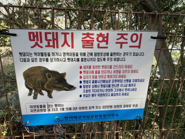 멧돼지 출현 주의 안내판이 있다. 멧돼지가 제법 험상궂다.